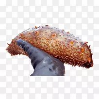 ����Ϊʳ��ʳ��ͺ��ʺ���-������