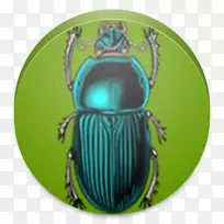 昆虫-空若网 昆虫-空若网