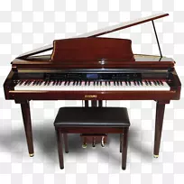 ���ָ�����ľmdm-300���������-������