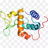 人体首饰有机体线剪贴画线-空若网 人体首饰有机体线剪贴画线-空若网