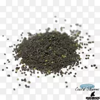 家蚕蚕业食卵昆虫-空若网 家蚕蚕业食卵昆虫-空若网