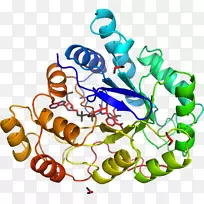 ���������鱦�л����߼�������-������