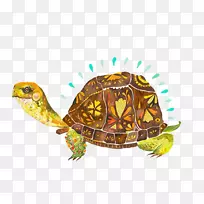 纸画插图画家-卡通水彩画海龟-空若网 纸画插图画家-卡通水彩画海龟-空若网