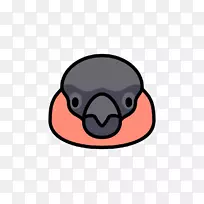 ๱Ǽ�����-������