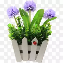 Aster花卉设计花盆人工花篮-空若网 Aster花卉设计花盆人工花篮-空若网