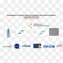 法国癌症企业集群-生物圣能产业创新-生物制药业-空若网 法国癌症企业集群-生物圣能产业创新-生物制药业-空若网