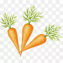 胡萝卜蔬菜果酱胡萝卜载体材料-空若网 胡萝卜蔬菜果酱胡萝卜载体材料-空若网