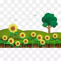 ������ƻ������տ�-������