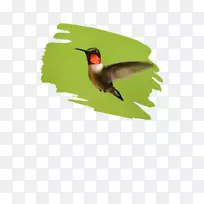 ·äÄñ-¿ÕÈôÍø ·äÄñ-¿ÕÈôÍø