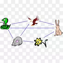 食物链食物网生态营养食物链-空若网 食物链食物网生态营养食物链-空若网