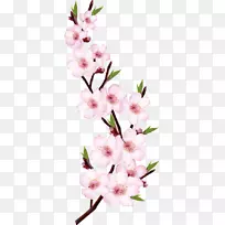 桃花枝-桃花配红-空若网 桃花枝-桃花配红-空若网