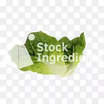 生菜,春青,叶蔬菜,塑料.生菜-空若网 生菜,春青,叶蔬菜,塑料.生菜-空若网