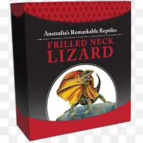 爬行动物折颈蜥蜴珀斯薄荷硬币蜥蜴-空若网 爬行动物折颈蜥蜴珀斯薄荷硬币蜥蜴-空若网