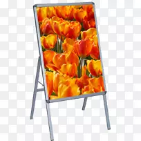 郁金香环-瓣切花橙色S.A。-陈列室-空若网 郁金香环-瓣切花橙色S.A。-陈列室-空若网