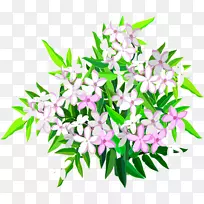 ��������л����趡��ֲ��-������