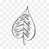 ��������ͼ��Ҷ-����-������