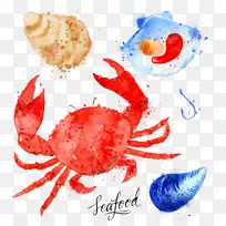 ó¦Ð·Ë®²Ê»º£ÑóÉúÎï²åͼ.īзͼ°¸²ÄÁÏ-¿ÕÈôÍø ó¦Ð·Ë®²Ê»º£ÑóÉúÎï²åͼ.īзͼ°¸²ÄÁÏ-¿ÕÈôÍø