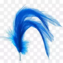 羽毛微软蓝-孔雀羽毛-空若网 羽毛微软蓝-孔雀羽毛-空若网