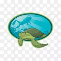 潜水,浮潜,自由潜水-空若网 潜水,浮潜,自由潜水-空若网