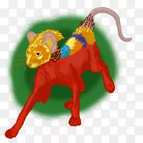 猫尾鼻动物-金鸡-空若网 猫尾鼻动物-金鸡-空若网