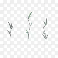 绿叶角型草-空若网 绿叶角型草-空若网