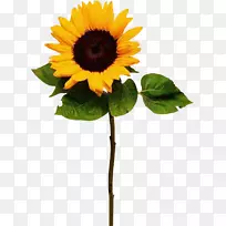 动画博客剪贴画-空若网 动画博客剪贴画-空若网