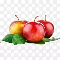 ��ͨ����������ϵS9ˮ��ʳƷ�߲�-������