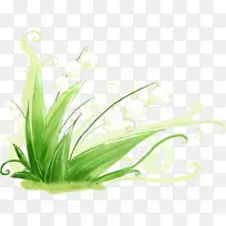 启动!4K分辨率高清晰度电视壁纸-草,花-空若网 启动!4K分辨率高清晰度电视壁纸-草,花-空若网