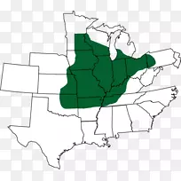 ����˾����ķ����������-��Ӫ��-����˹Ƥ��-������