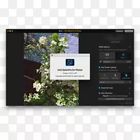 ��ý��-������