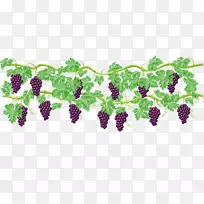 普通葡萄酒夹艺术.彩绘葡萄载体-空若网 普通葡萄酒夹艺术.彩绘葡萄载体-空若网