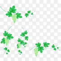 葡萄-多愁善感的葡萄图片材料-空若网 葡萄-多愁善感的葡萄图片材料-空若网