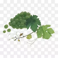 °×ÆÏÌÑ¾ÆÆÏÌÑָ˾úζÆÏÌÑ-¿ÕÈôÍø °×ÆÏÌÑ¾ÆÆÏÌÑָ˾úζÆÏÌÑ-¿ÕÈôÍø