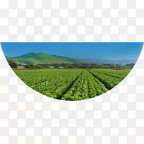 ������˹ɽ�ȼ���ҽԺ��԰ũҵũ��-������