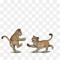 大猫陆生动物美洲狮野生动物-亚当司机-空若网 大猫陆生动物美洲狮野生动物-亚当司机-空若网