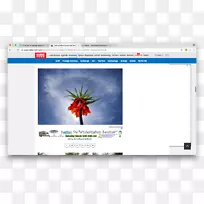 网页视频多媒体-春天的第一天-空若网 网页视频多媒体-春天的第一天-空若网