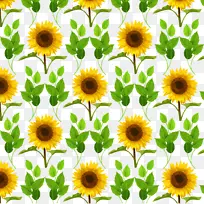 普通向日葵母亲节向日葵-空若网 普通向日葵母亲节向日葵-空若网