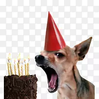 ���������յ���С��ף�����տ���-����С��-������