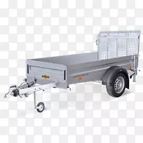 �����͵���-������