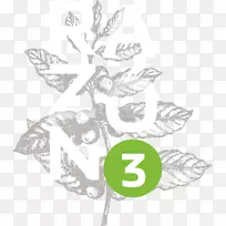 小枝植物茎开花植物叶片剪贴画-空若网 小枝植物茎开花植物叶片剪贴画-空若网