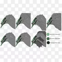 喙类动物羽毛-空若网 喙类动物羽毛-空若网