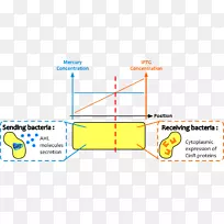 �߽ǵ�ͼ-������