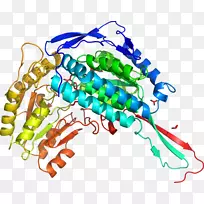 人体首饰有机体线剪贴画线-空若网 人体首饰有机体线剪贴画线-空若网