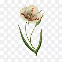 Ë®²Ê»ÒÕÊõ-¿ÕÈôÍø Ë®²Ê»ÒÕÊõ-¿ÕÈôÍø