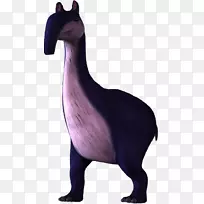 犬鼻颈动物犬-空若网 犬鼻颈动物犬-空若网