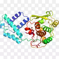 人体首饰有机体线剪贴画线-空若网 人体首饰有机体线剪贴画线-空若网