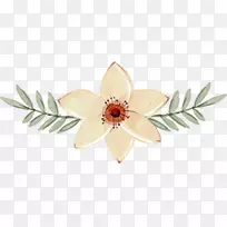 �������ͼ������û��������װ��ֲ��-������