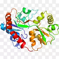 �ߵ������������-������