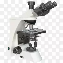光学显微镜科学光学.光-空若网 光学显微镜科学光学.光-空若网