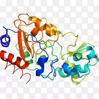 人体首饰有机体线剪贴画线-空若网 人体首饰有机体线剪贴画线-空若网
